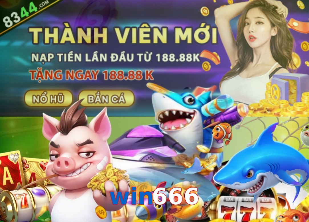 win666